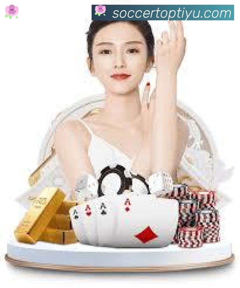 奖项证书